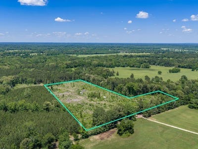 /international/us/mule-deer-road-gilmer-tx-110108360524/