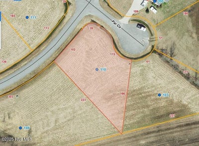 /international/us/110-pinehurst-drive-mount-olive-nc-110098217282/?lang=zh-tw