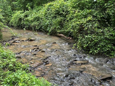 /international/us/lot-103-rhondas-way-ellijay-ga-110108552353/