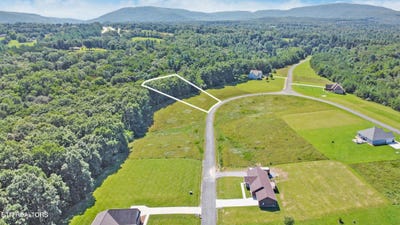 /international/us/daddys-creek-tr-crab-orchard-tn-110109928240/