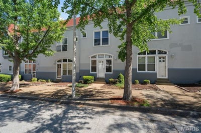 /international/us/1111-biddle-street-st-louis-mn-110108412211/