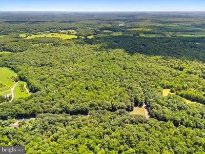/international/us/camden-lot-6-elkwood-va-110103206810/