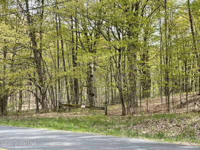 /international/us/l-3-12-edwards-road-north-greenbush-ny-110084260607/