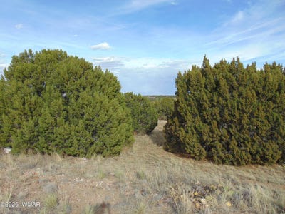 /international/us/46-crest-lane-concho-az-110107207886/