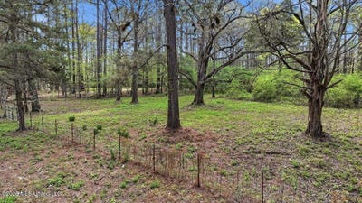 /international/us/harrisville-braxton-road-braxton-ms-110106762534/