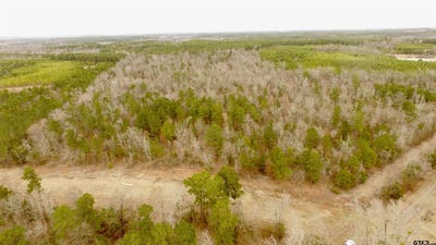 /international/us/cr-2307-beasley-rd-lone-star-tx-110105707401/