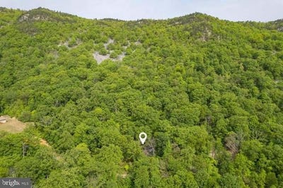 /international/us/k57-k68-forest-ext-drive-luray-va-110099665331/