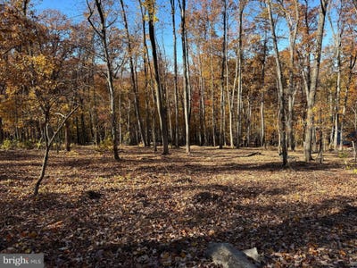 /international/us/digging-bear-ln-purcellville-va-110103709958/