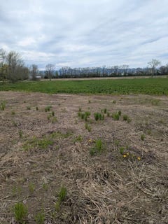 /international/us/104-old-stonehouse-road-addison-vt-110108543659/