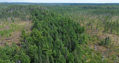 /international/us/9040-bone-lake-route-newberry-mi-110101858161/