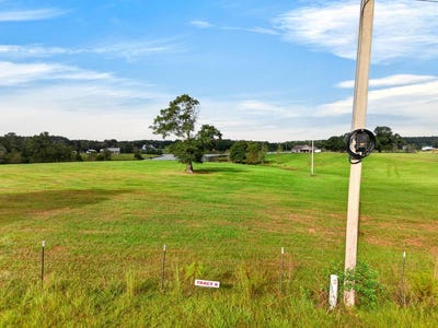 /international/us/parcel-6-el-shaddai-rd-poplarville-ms-110120409150/