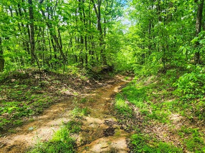 /international/us/0-buffalo-road-oneida-tn-110099702767/