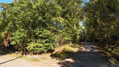 /international/us/forest-pass-jackson-al-110110374724/