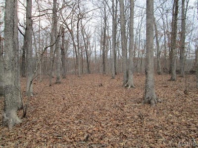/international/us/0-mo-30-gravois-rd-6-ac-st-clair-mo-110097476642/