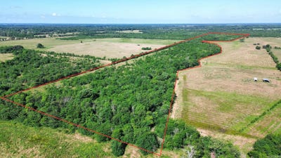 /international/us/pine-prairie-rd-ashdown-ar-110108626865/