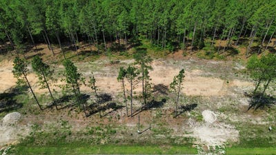 /international/us/0-wilbur-pridgen-rd-harrells-nc-110108467983/