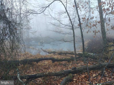/international/us/s-timber-ridge-road-cross-junction-va-110096555003/?lang=zh-tw