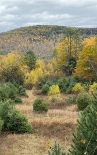/international/us/catterall-road-lot-4-lisbon-nh-110108686424/?lang=es