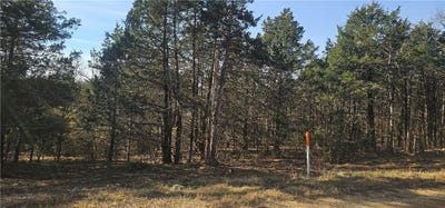 /international/us/e-mockingbird-trail-lot-35-36-diamond-city-ar-110105640779/