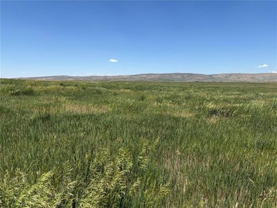 /international/us/38300-cattails-court-hayden-co-110096962156/