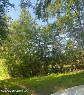 /international/us/163-haney-road-pinola-ms-110106602506/