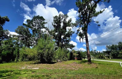 /international/us/n-washington-street-lot-1-perry-fl-110109036423/