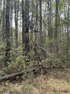 /international/us/0-palm-street-reevesville-sc-110098844121/?lang=zh-cn