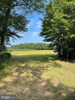 /international/us/lot-5-campbelltown-road-bishopville-md-110101004774/?lang=es