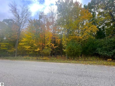 /international/us/tbd-hilltop-lane-mt-pleasant-mi-110095205860/?lang=zh-cn