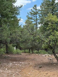 /international/us/lakeview-chama-nm-110102221554/
