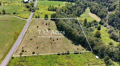/international/us/100-pomeroy-road-franklin-ny-110101832700/