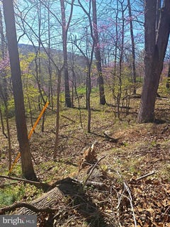 /international/us/16-dogwood-trail-fairfield-pa-110107260130/
