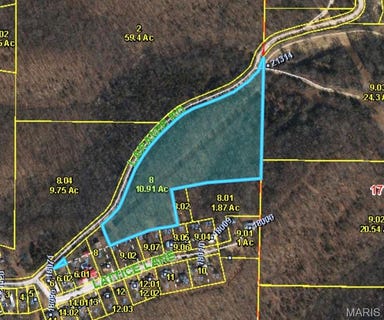 /international/us/000-laramie-rd-st-robert-mo-110106372951/