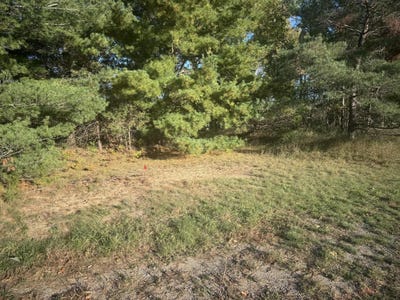 /international/us/109-arbor-lane-alpena-mi-110103033318/