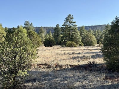 /international/us/cottonwood-lane-lot-21-ramah-nm-110100096225/