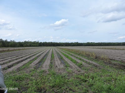 /international/us/county-road-108-bunnell-fl-110101974060/