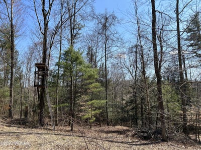/international/us/tallman-hollow-road-montoursville-pa-110085267476/