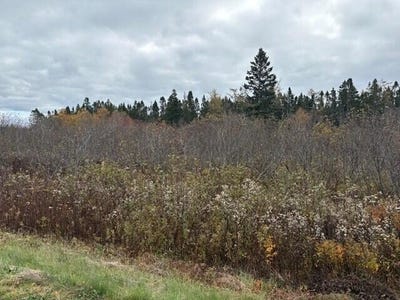 /international/us/boot-cove-road-lubec-me-110107629856/