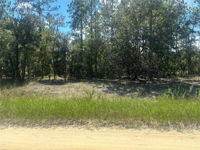 /international/us/0000-sw-134th-avenue-dunnellon-fl-110101210640/