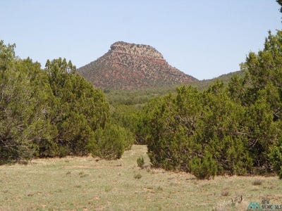/international/us/2-camino-del-sol-road-bernal-nm-110091174087/