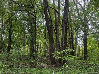 /international/us/bernadine-street-huron-twp-mi-110108125707/