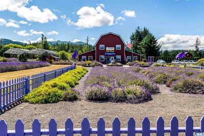 /international/us/274154-hwy-101-sequim-wa-110091492017/?lang=zh-cn