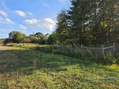 /international/us/us-hwy-221-railroad-grade-road-fleetwood-nc-110120108110/