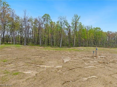 /international/us/9527-river-birch-run-brecksville-oh-110108034820/