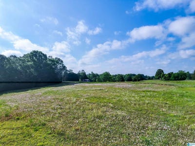 /international/us/80-brady-road-lot-1-hope-hull-al-110106933768/