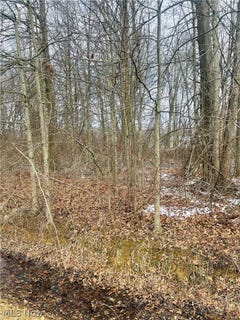 /international/us/breezewood-lane-lot-113-orwell-oh-110106534835/