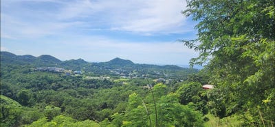 /international/us/carr-412-km-4-8-calle-pascual-nieves-bo-calvache-rincon-pr-110103592356/