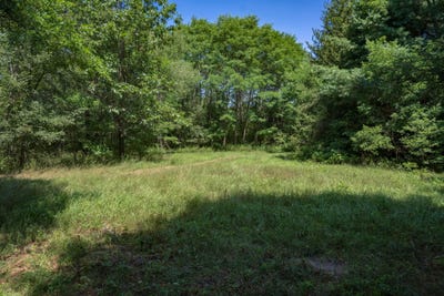 /international/us/9-73-acres-e-flint-street-lyndon-station-wi-110109655950/