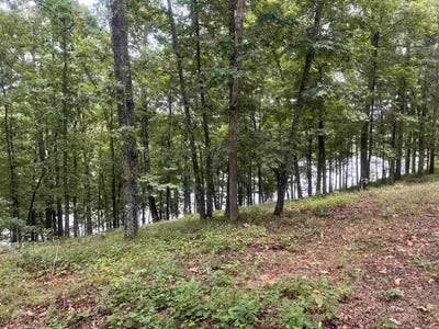 /international/us/heber-springs-ar-110101339286/?lang=zh-tw