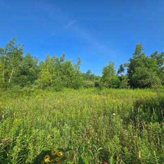 /international/us/00-county-route-15-lafargeville-ny-110098497852/